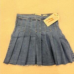 Celebrity Pink Blue Pleated Mini Skirt